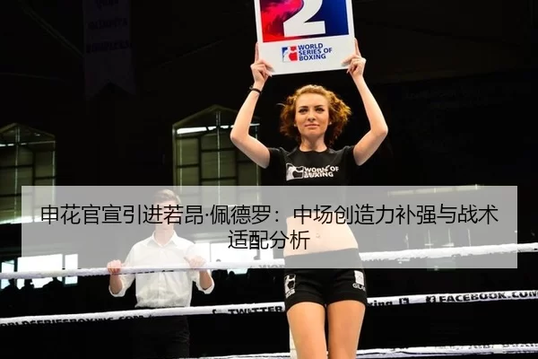 申花官宣引进若昂·佩德罗：中场创造力补强与战术适配分析